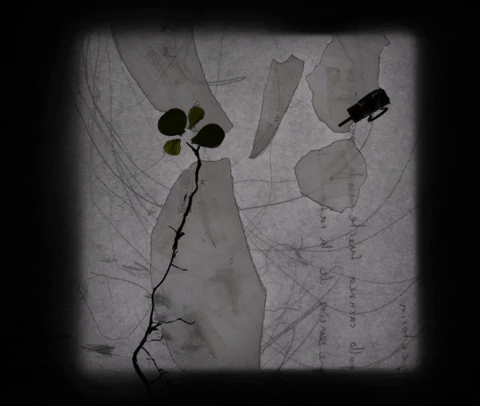 oskar_combita giphyupload animation stopmotion glas2022 GIF
