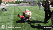 Ohio State Sport GIF by Ohio State Athletics