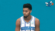 happy fresh prince GIF by Charlotte Hornets