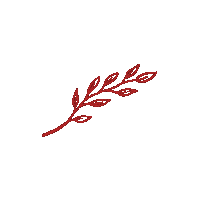 Frases Celebrate Sticker