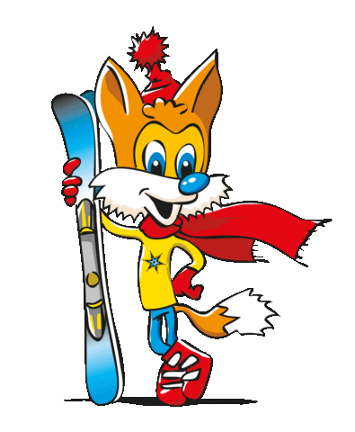 Schetteregg giphyupload winter egg ski Sticker