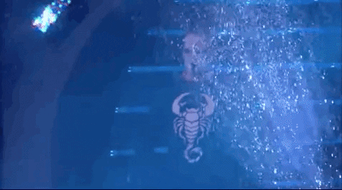 Pro Wrestling Sport GIF by ALL ELITE WRESTLING