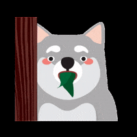 allisonchan2 dog shock husky jomug9 GIF