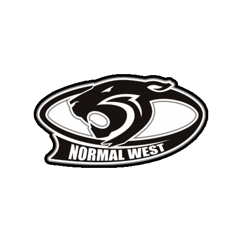 Wildcats Sticker by Unit5Music