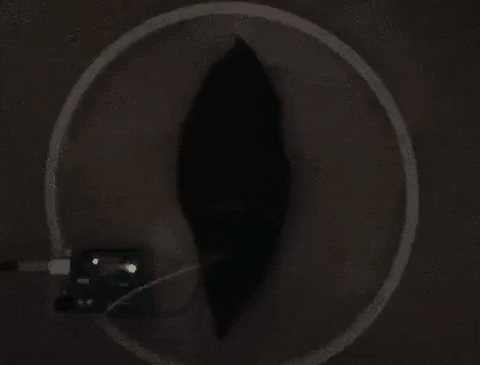 LaoraG giphyupload GIF