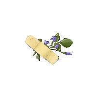 irinakamy flowers spring цветы весна Sticker