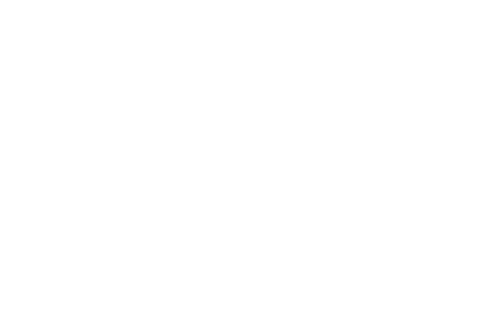 Bro Donut Sticker by Bigfoot Donuts