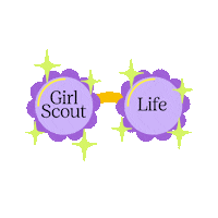 Shades Eyeglasses Sticker by Girl Scouts