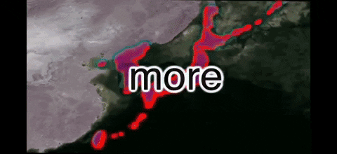 beardyblue  GIF