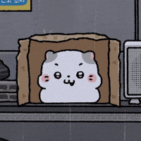 Look Around Watch GIF