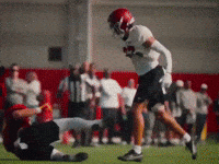 Alex Graham GIF