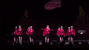 Ctso GIF by National FCCLA