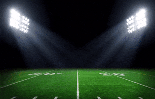 Michigan vs. Washington