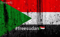 War Sudan GIF
