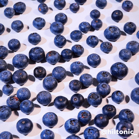 Flatten Stop Motion GIF by Evan Hilton