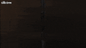 GIF by The Chi
