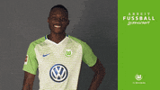 josuha guilavogui bundesliga GIF by VfL Wolfsburg