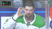 FOXSportsSW fight hockey nhl listening GIF