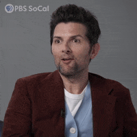 What Is Happening Oh My God GIF by PBS SoCal