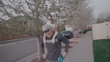 Justin Gaethje: Dog Walking 101