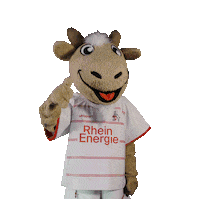 1 Fc Cologne Soccer Sticker by 1. FC Köln