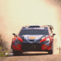 Hyundai GIF by FIA World Rally Championship