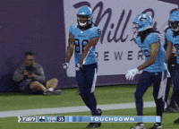 Toronto Cfl GIF