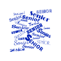 12minigifs4u senior senior class Sticker