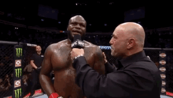 ufc 229 sport GIF by UFC