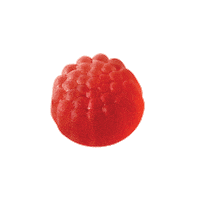 YumEarth organic raspberry fruit snacks fruit snack Sticker