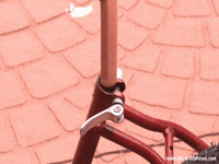 bug satisfying GIF