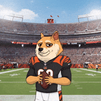 American Football GIF by Doge Pound