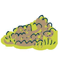 Mole Hallo Sticker by Bonte Raaf