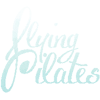 fly aerialpilates Sticker by Flying Pilates