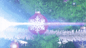 amplussolar christmas greeting amplus solar amplus solar holiday amplus solar christmas greeting GIF