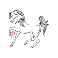 Arabian Horse Sticker by arabianessence