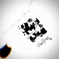 Dom Omo GIF by New 11