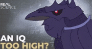 Crow Iq GIF