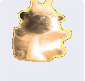 Miamiregalblues gmail miamiregalblues mulch gang puppy GIF
