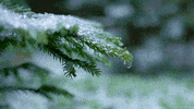 Snow Winter GIF by Living Stills