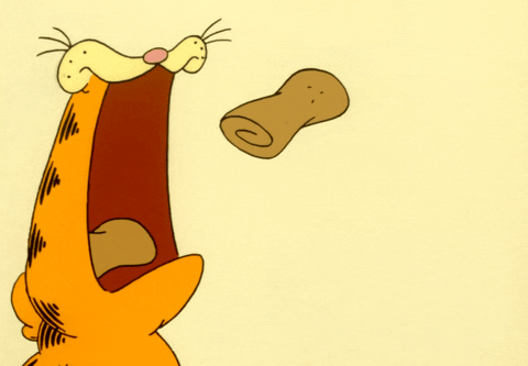 Hungry Cat GIF by Garfield