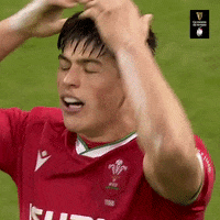 Wales Rugby Sport GIF by Guinness Six Nations