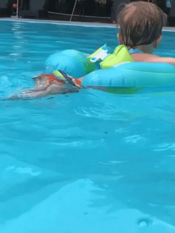Desenvolvaseufilho giphygifmaker GIF