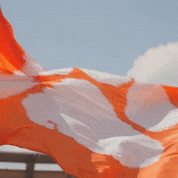clemson GIF