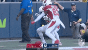 Arizona Cardinals Happy Dance GIF by NFL