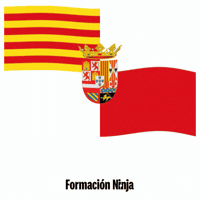 Region De Murcia Bandera GIF by Formación Ninja