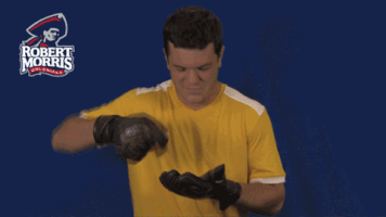rmuathletics rmu robert morris robert morris university GIF