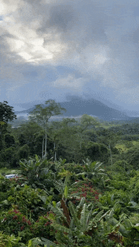 arnellelozada environment tropical landscape sunrise GIF