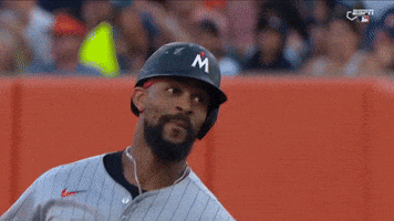 Minnesota Twins Smile GIF by MLB