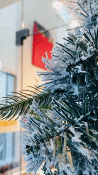 Art Gallery GIF by Casol